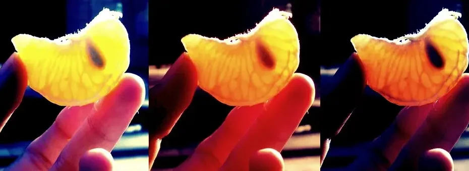 Tres segmentos de mandarina sostenidos a contraluz, mostrando su textura.